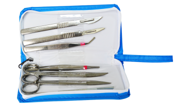 27001 dissector