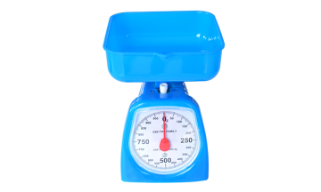 11019 Spring scale